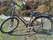 Rower Marathon 3.0 STORM trekkingowy damski