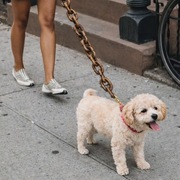 Łańcuch dla psa1,5m SMYCZ gadżet cosplay  rekwizyt zdjęcia stylizacja 