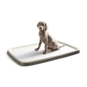 Savic Puppy Trainer XL duża kuweta dla psa na podkłady