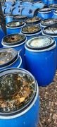 Beczki beczka 120l plastikowe  100szt. Brudne