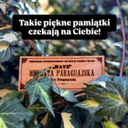 Drewniany Magnes z Polskie Internetowe Muzeum Yerba Mate 