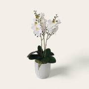 Sztuczny storczyk, dekoracja, prezent