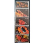 Fauna zwierzęta owady motyle Buriatia