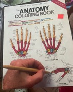Wynn Kapit/Lawrence M.Elson THE ANATOMY COLORING BOOK ,USA 1993r.