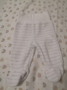 Półśpiochy rozm. 56