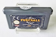 Wilden Fußball Kerle: Entscheidung im Teufelstopf Game Boy Advance SP