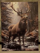 Piękny obraz myśliwski JELEŃ BYK Rykowisko. Polowanie. 30x40cm. Nowy