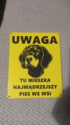 Tabliczka ostrzegawcza NAJMĄDRZEJSZY PIES WE WSI