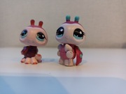 Littlest pet shop biedronka + dodatek 