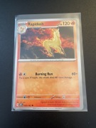 Rapidash 020/142 Stellar Crown Pokemon TCG