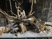 Akwarium 240 l z wyposażeniem 