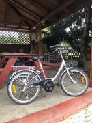 Rower dziecięcy Minerva LADY SITY