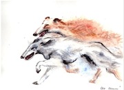 Ola Skowron "Borzoje" akwarela - psy,charty,bieg