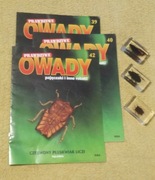 Prawdziwe owady nr 39,40,42.