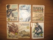 Seria książek "TYGRYSY"