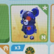 Patchy bear i inne adopt me roblox