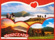 Bieszczady Połonina Caryńska, Halicz, Koń huculski pod Tarnicą 9