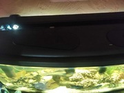 Akwarium panoramiczne 400 litrów.