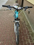 rower ALPINA LM ECO 26 cali