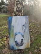 Obraz biały Koń na desce akryle