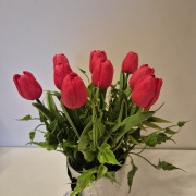 Wiosenny stroik Czerwone Tulipany w ozdobnej donicy