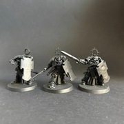 Space Marines  Primaris Bladeguard Veterans
