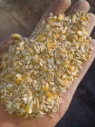 Zboże dla kur  gołębi od rolnika 