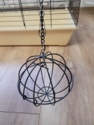 Paśnik na łańcuszku dla gryzonia