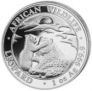 African Wildlife Leopard 1 oz Srebra 2025-PROMOCJA