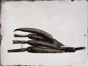 Ambrotypia - Hell's Kitchen 035