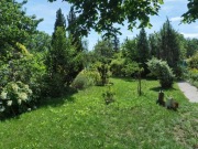 Działka ogrodowa ROD