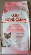 ROYAL CANIN Mother & Babycat, Karma dla kotek w ciąży i kociąt 2 kg