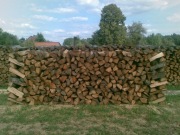 Drewno kominkowe, opałowe, całe woj. łódzkie