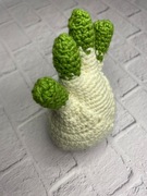warzywa na szydełku Amigurumi-fenkuł włoski