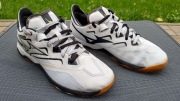 Mizuno Wave Medal NEO  44,5EU