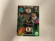 Panini Double Trouble Irlandia Euro 2016