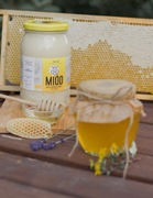 Miód nektarowy wielokwiatowy kremowany Pasieka U Pawła