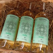 Cydr musujący szampan jabłko odmiana antonówka bukiet smaków