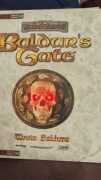 Baldurs's Gate PC polska dystrybucja