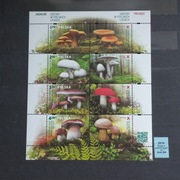 Blok 266. Grzyby w polskich lasach.