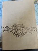 Anatomia Roślin: Edmund Malinowski 1973