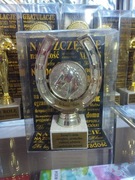 Podkowa statuetka puchar Rocznica Ślubu życzenia