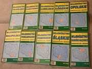 10 map administracyjno-drogowych województw