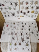 Ilustracje grafiki pająki Vintage 