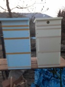 ULE,ul wielkopolskie 10ramkowe ze styroduru.Pszczoły,nadstawki,wregi
