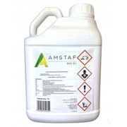 Amstaf 800 EC 5l (Boxer zamiennik)