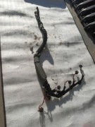 Wiązka Elektryczna Silnika BMW M57D30 3.0D