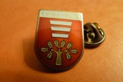 Hańsk Pow. Lublin Herb pin przypinka 