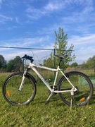 Rower górski Raleigh Storm 2.0