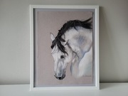 Obraz rysunek pastele portret siwego konia (20)